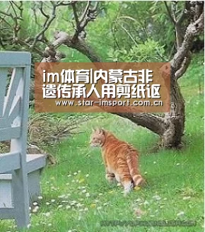 im体育投注