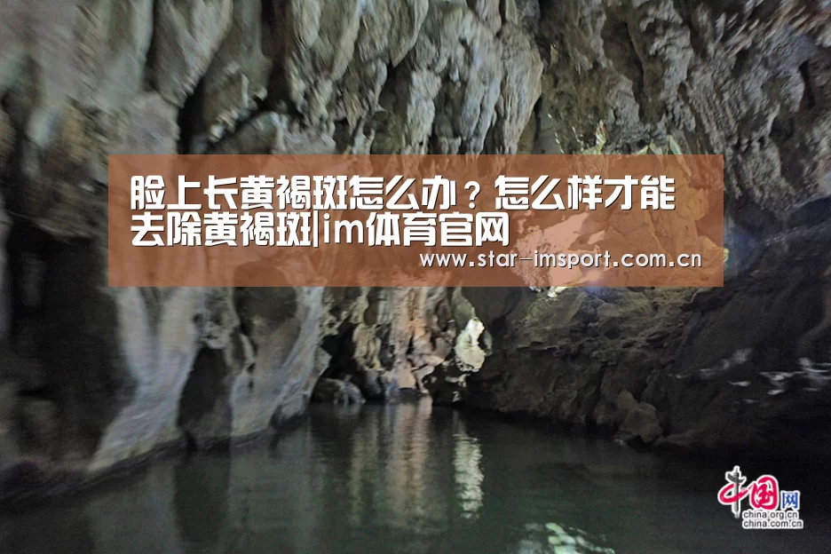 im娱乐