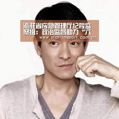 派驻省应急管理厅纪检监察组:政治监督助力“六稳”“六保”‘im体育官网’(图2) im体育官网