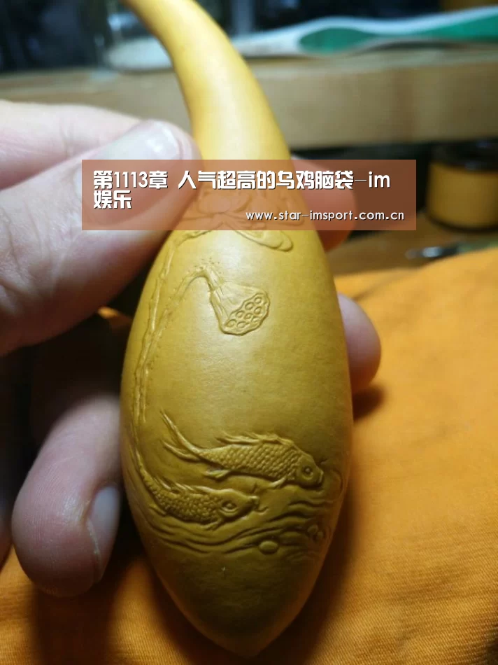 第1113章 人气超高的乌鸡脑袋-im娱
