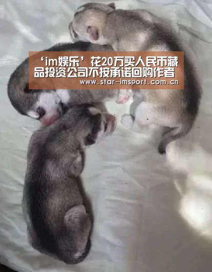 ‘im娱乐’花20万买人民币藏品投资公司不按承诺回购作者:吴光亮2015-09-1808:37:01来源:重庆商报周大爷拿出购买时的(图2) im娱乐