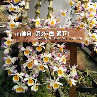 im体育-第357章 退下!(图1) im娱乐